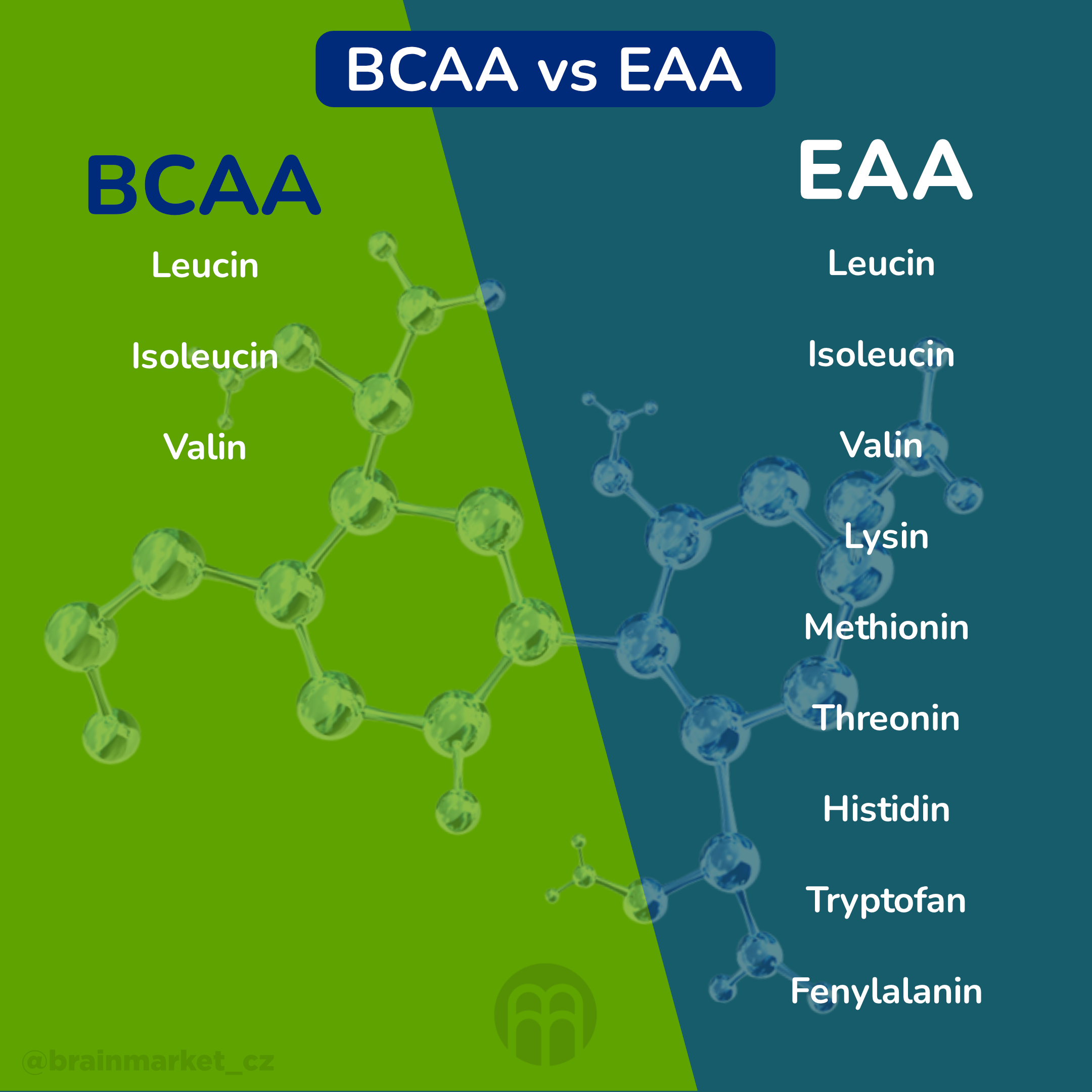 BCAA vs EAA_infografika_2_cz